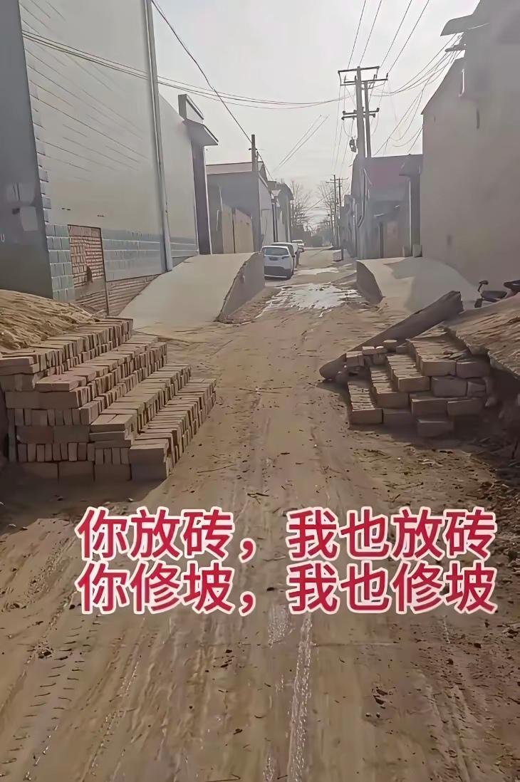 这叫啥坡？大门口还设计有四节台阶的，这些设计又是当地的“习俗”吗？本应宽敞的一条