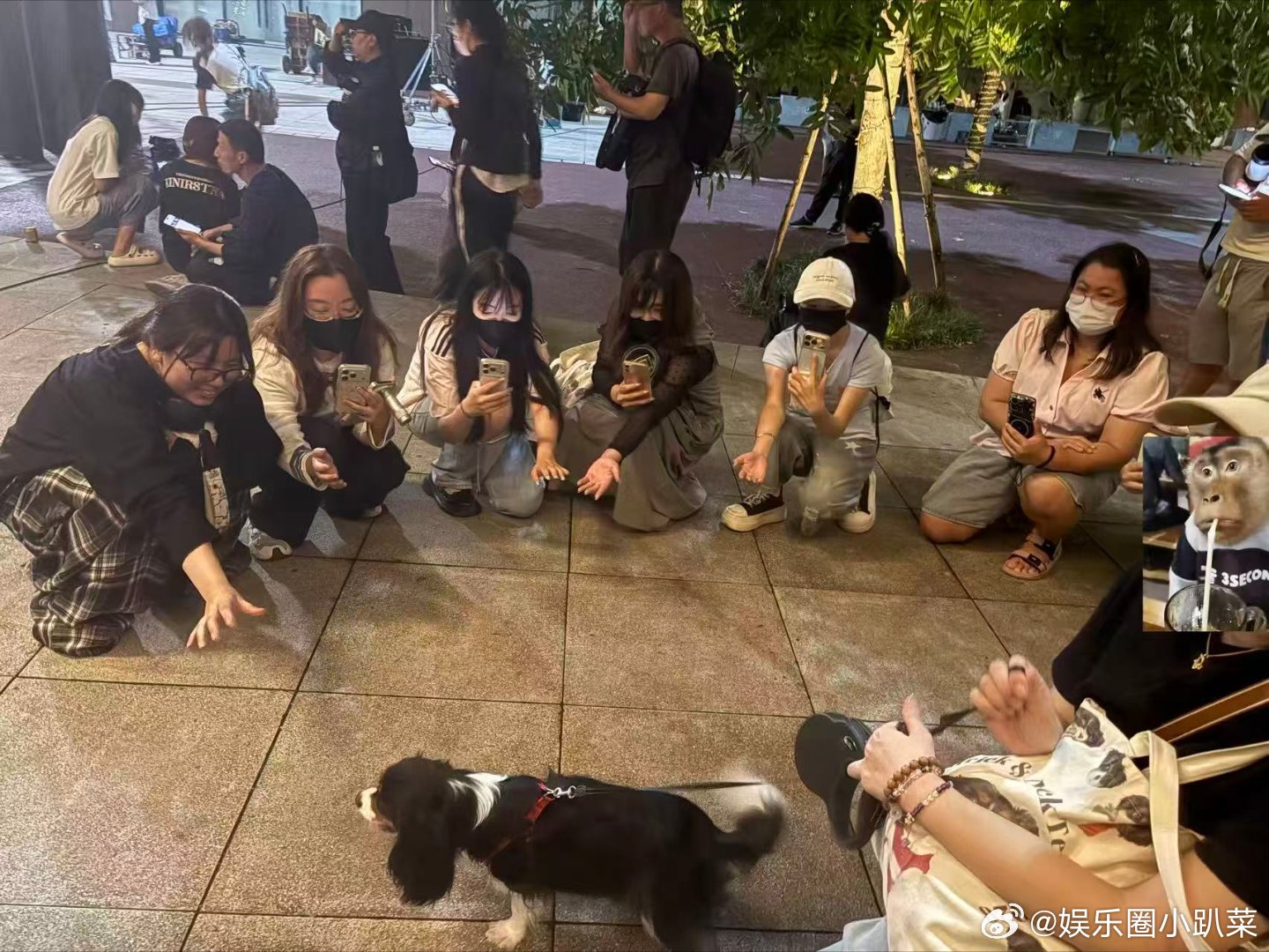 尹浩宇的狗半夜三点还有人拍尹浩宇的狗半夜三点遭围观别把窥探当成热爱，半夜三点围着
