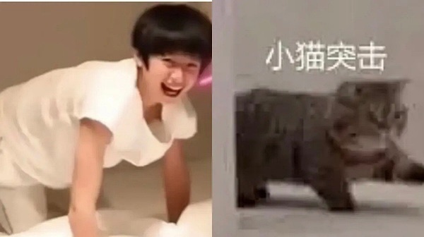 朱志鑫完全是小猫来的朱志鑫三代唯一猫塑