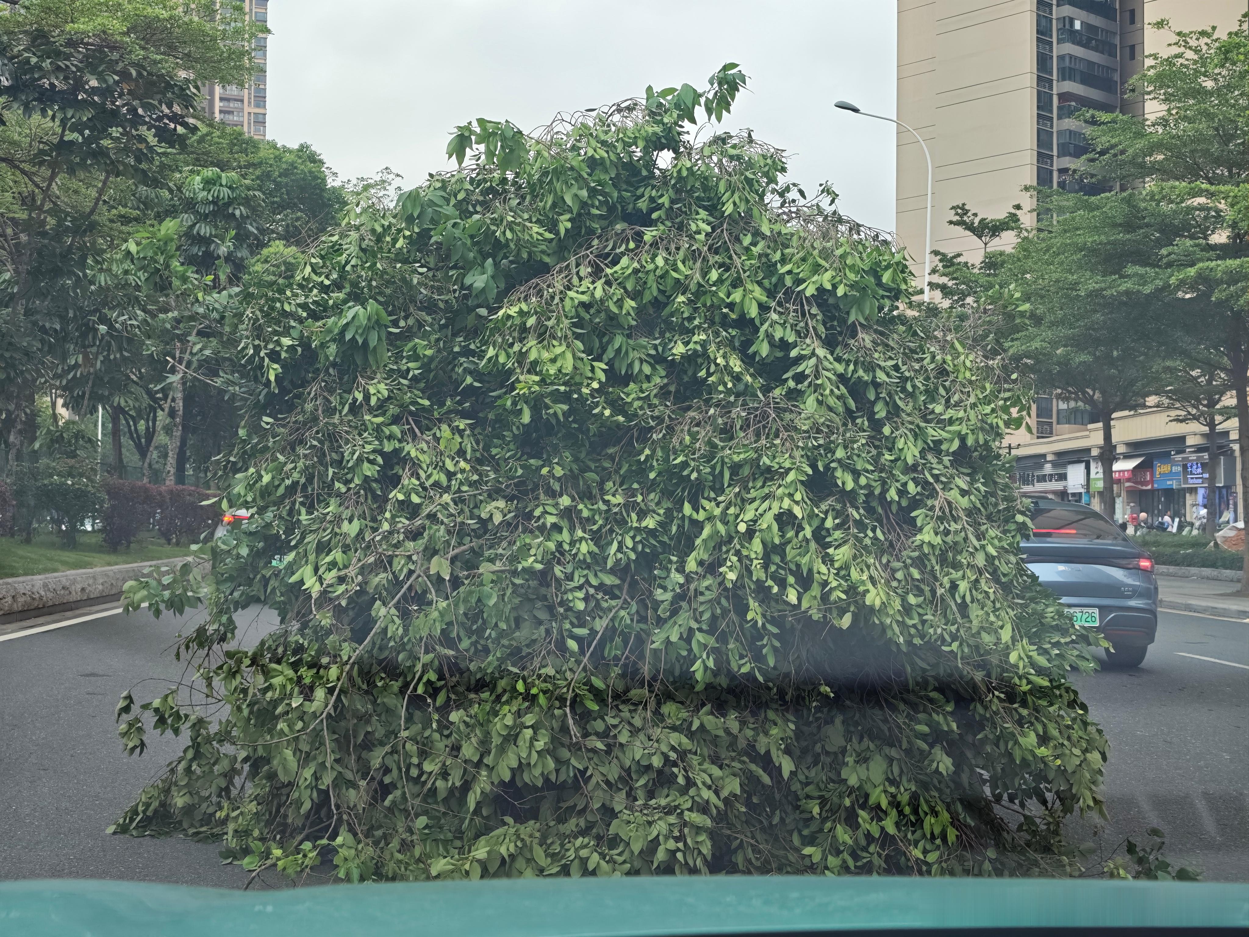 敢问前面打出这么一台车你的智驾应该如何应对…小P倒是真认出来了。小鹏mona m