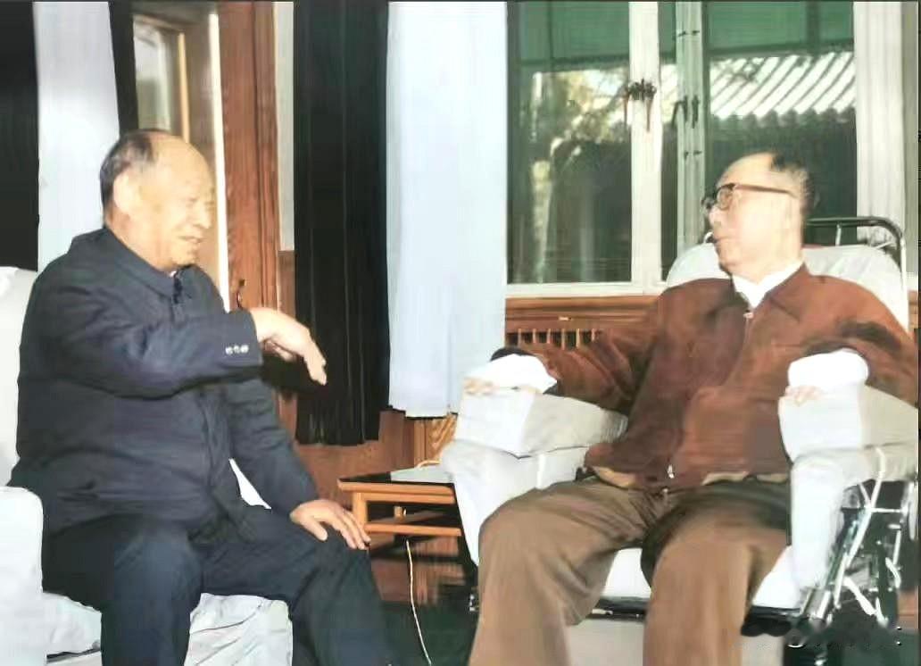 1988年4月9日，彭真去看望聂荣臻元帅。两位老友坐在一起亲切交谈，彭真兴致勃勃