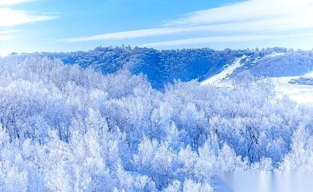 最怕的，从来不是下刀子一样的大雪。
是雪后那个万里无云，甚至有点暖洋洋的大晴天。