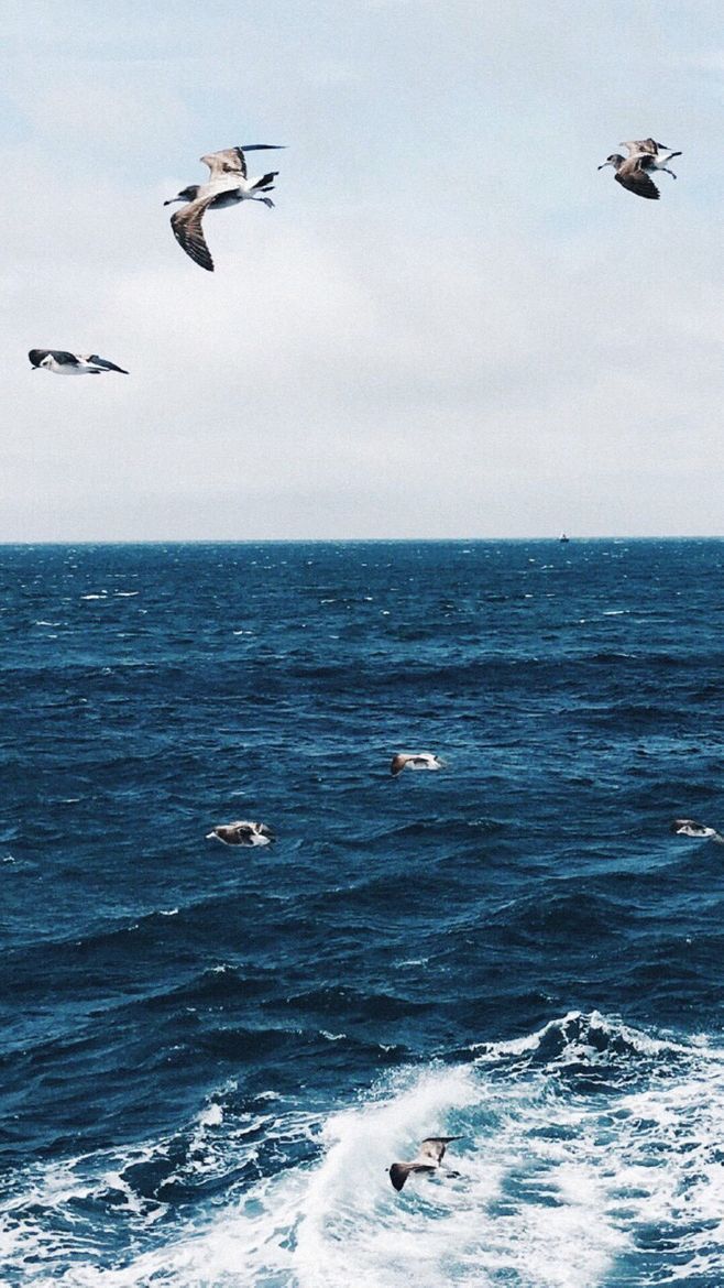 逆风的方向，更适合飞翔， 我不怕千万人阻挡，只怕自己投降。——五月天《倔强》 好