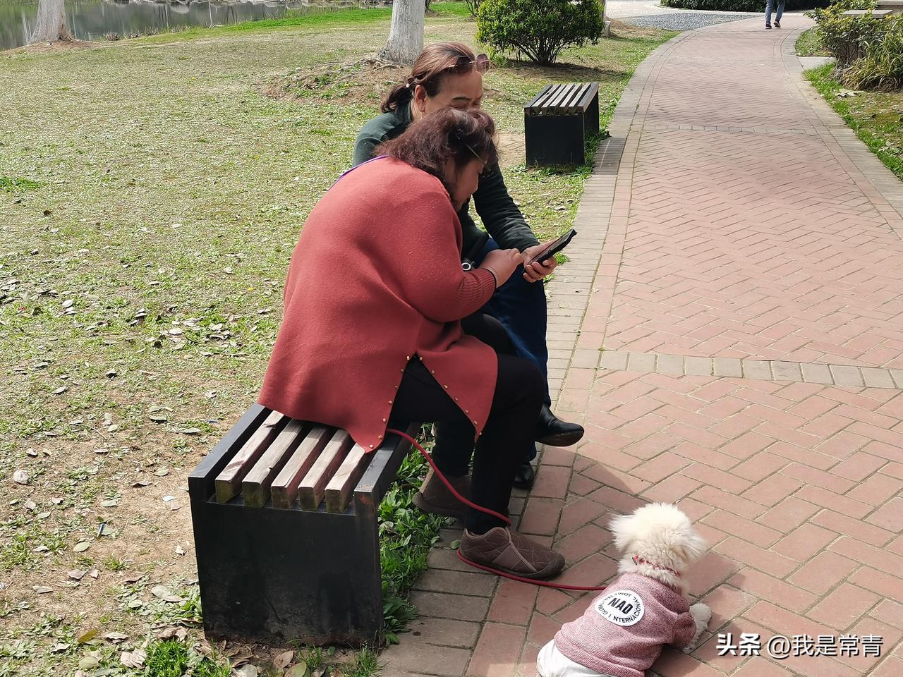 公园长椅上的慢时光，聊着天，晒着太阳，身边还有毛茸茸的小家伙作伴，幸福感拉满✨
