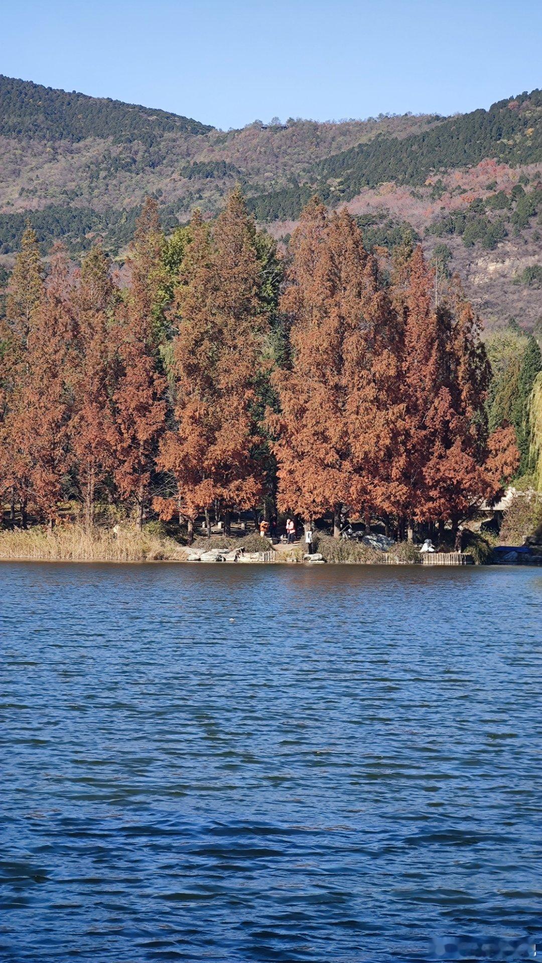 国家植物园最后一抹秋色北京你好 摄影