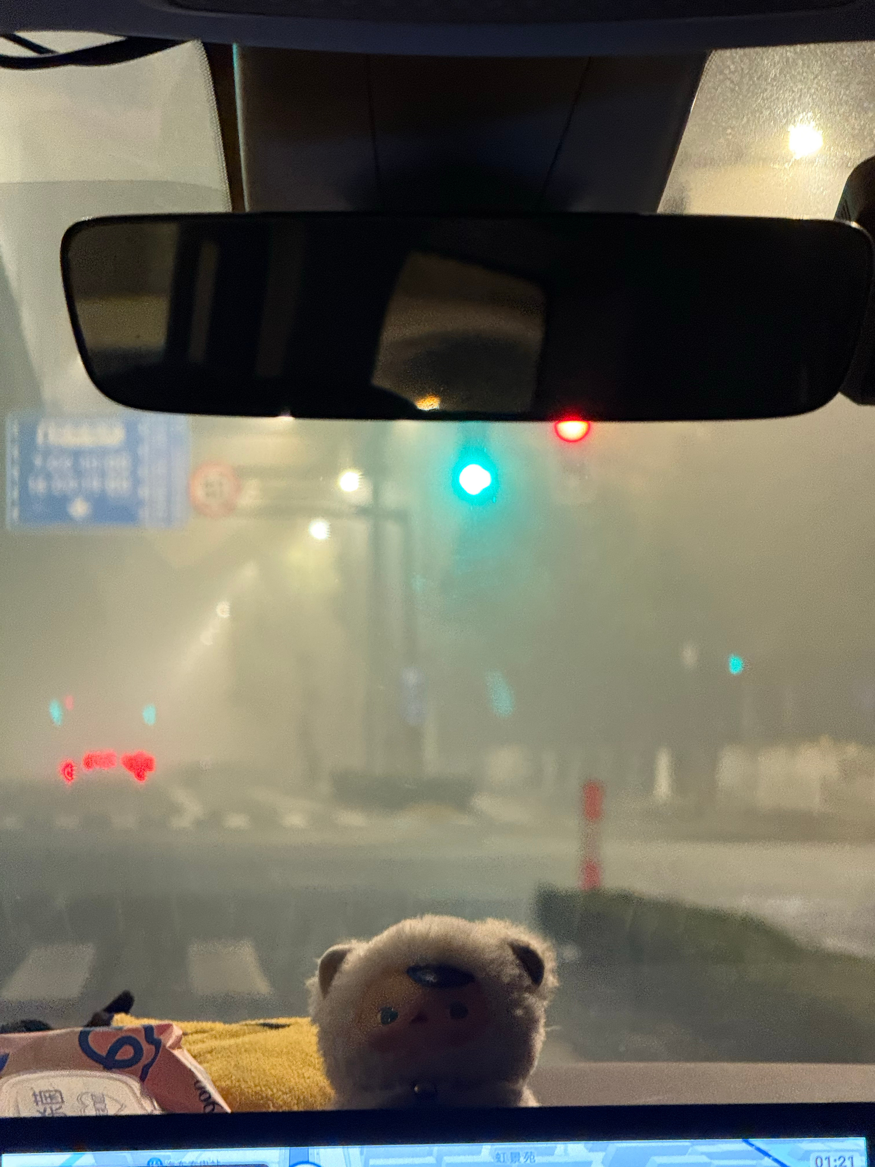 凌晨抵达上海，没想到机场这么多人…结果一上车，雾好大啊，从来没见到这么大雾难怪航