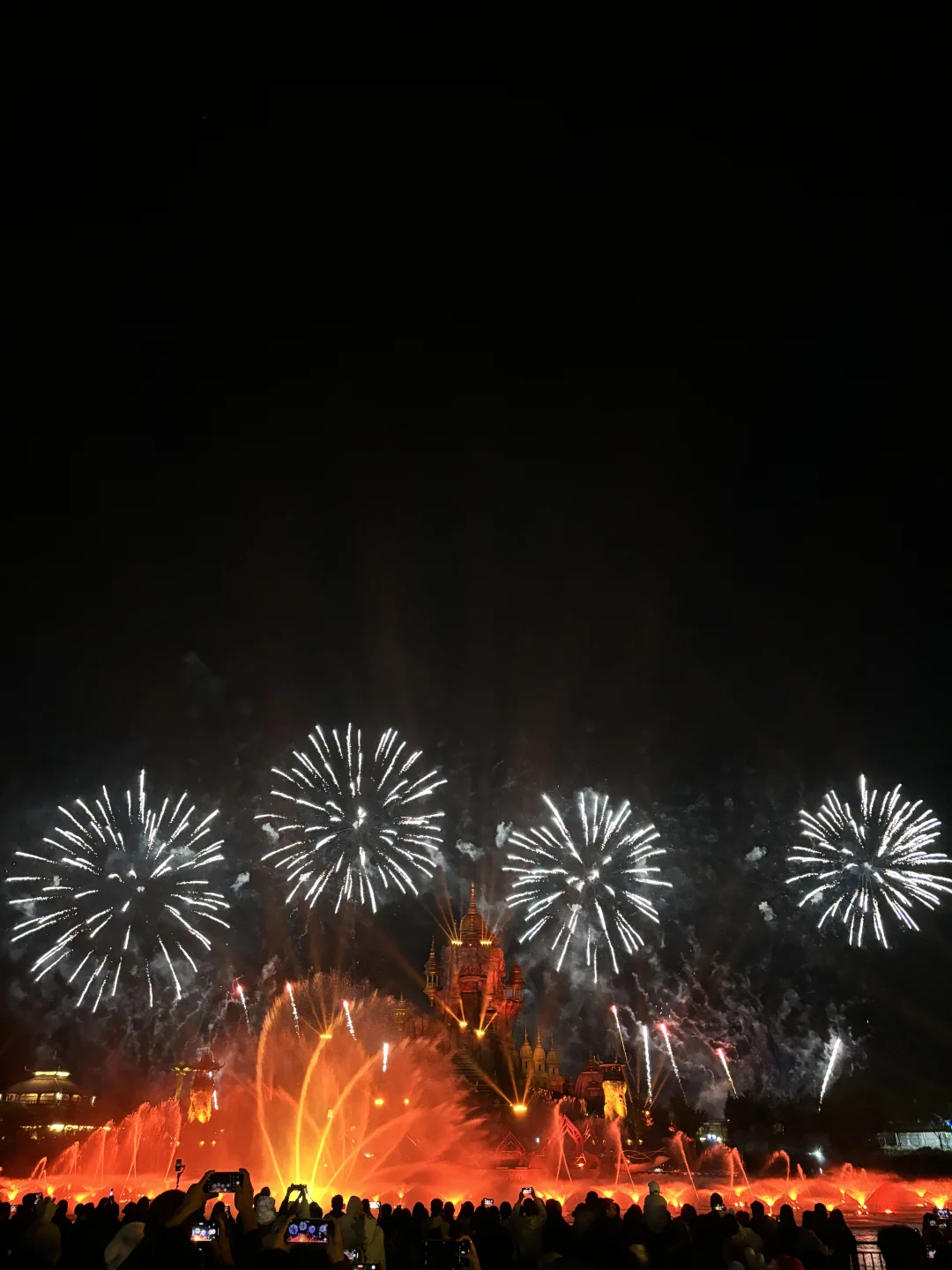 烟花秀太震撼了！