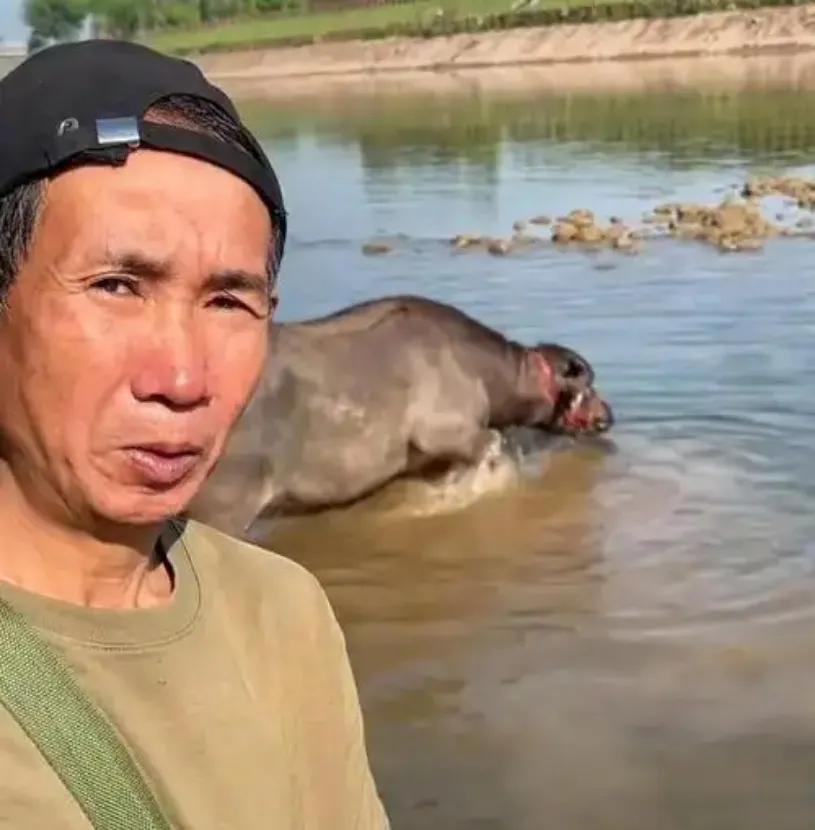 十年前，一男子用冰糖、明矾冒充毒品售卖给瘾君子，致多人健康受损，被判诈骗罪服刑十