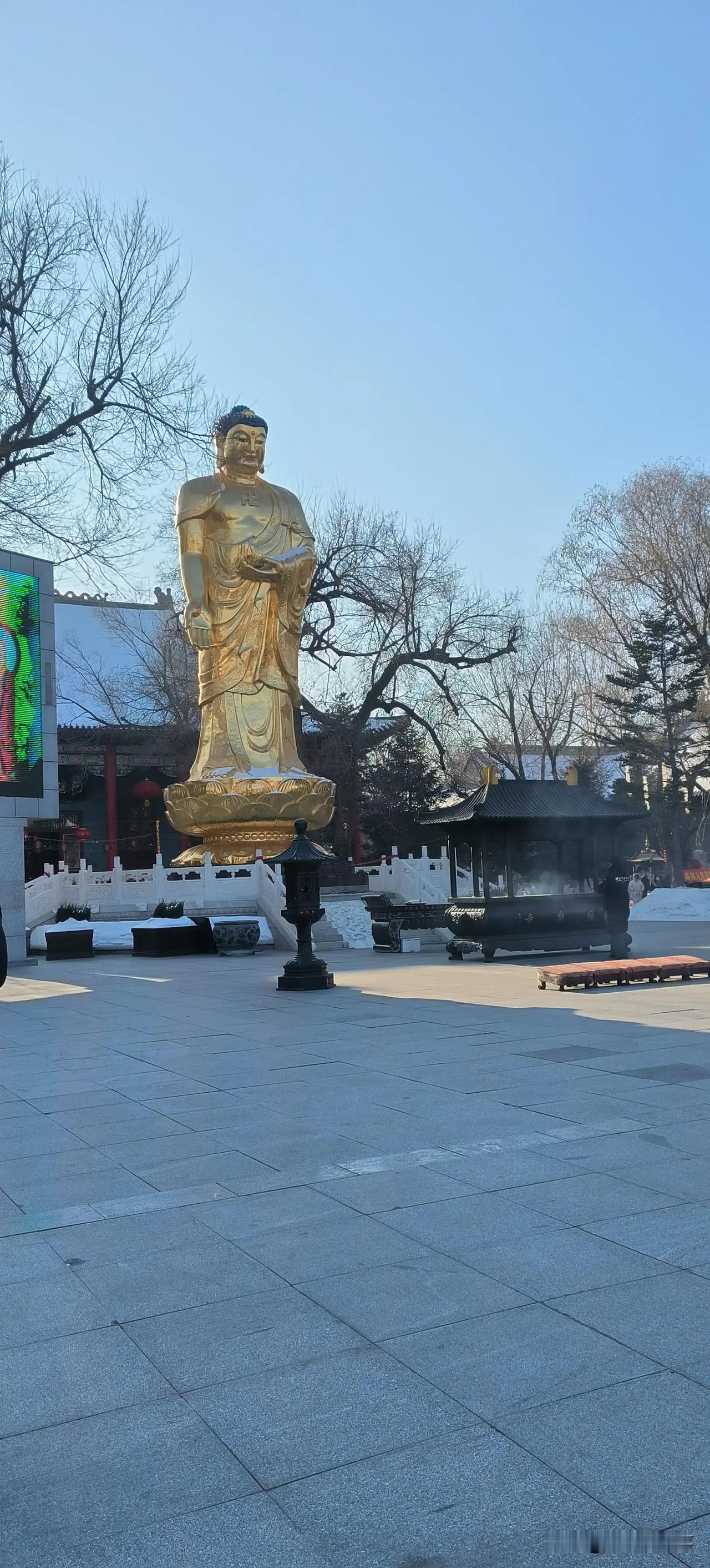 我和哈尔滨极乐寺的故事，我是先天幻听幻视比较虚弱的体质，有一次晚上去急诊碰到个去
