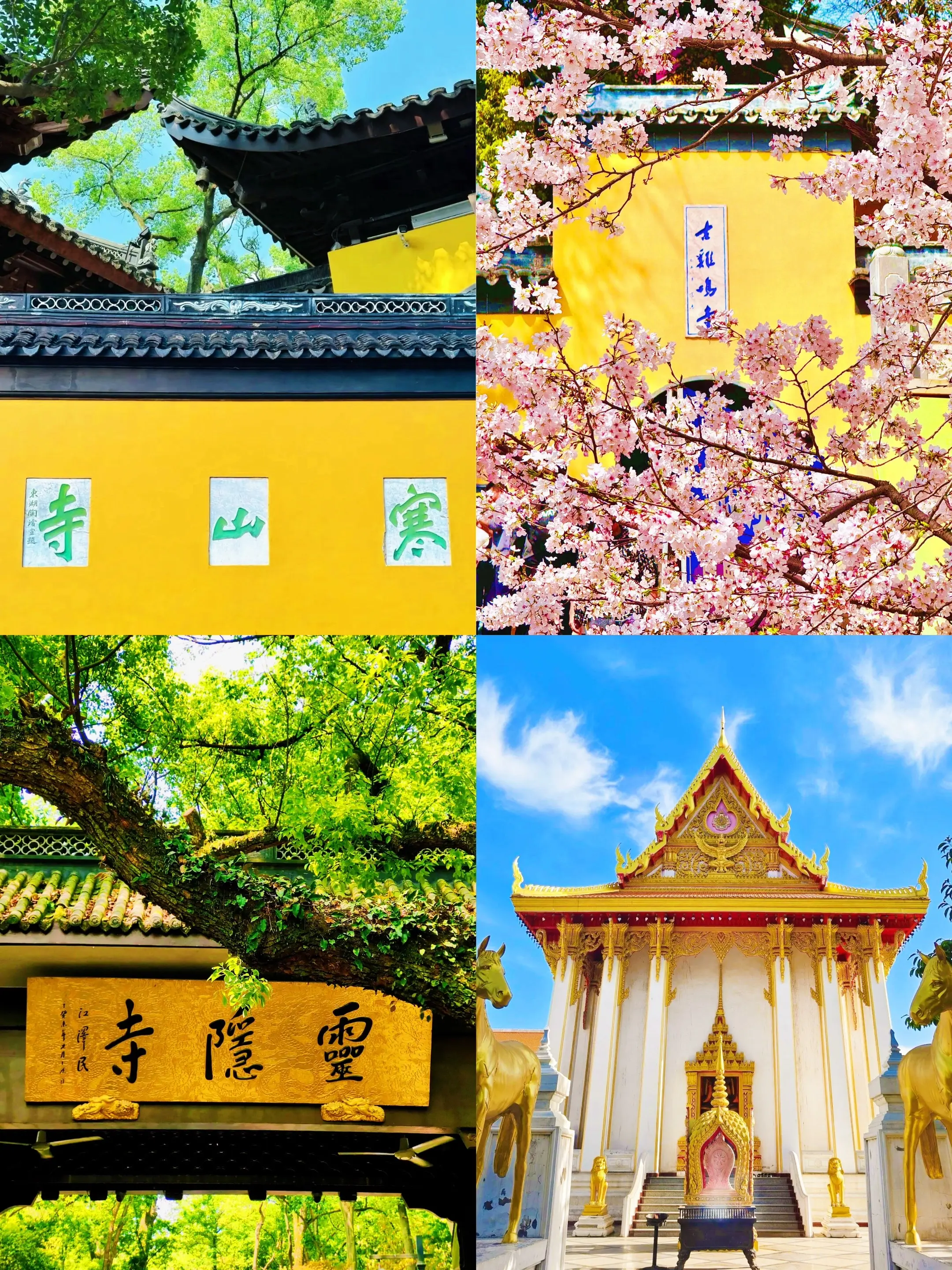 寡三年寺庙四巨头