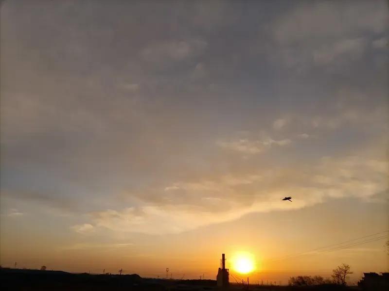 早睡早起的习惯 早起的活力昨晚10点半睡觉，今早5点醒5点半开始学习英语，头脑清