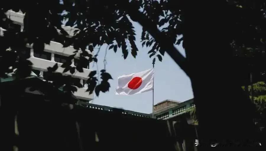 中国游客狂增80%！日本偏僻乡下成新宠，钱包鼓鼓笑开花

2025年04月30日