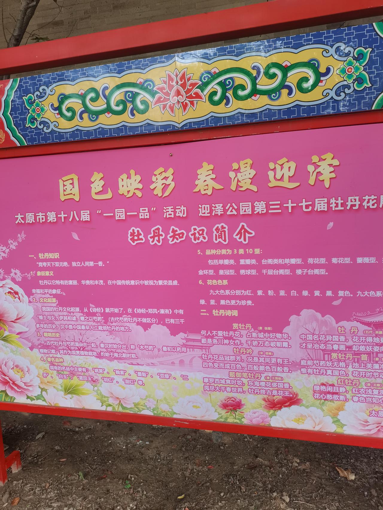 由于三个月前我做了子宫下垂微创手术，需要休养百天恢复健康，所以这三个月都没去迎泽