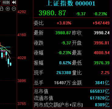 大多科技跌了30-40%   加了做T 继续躺平 