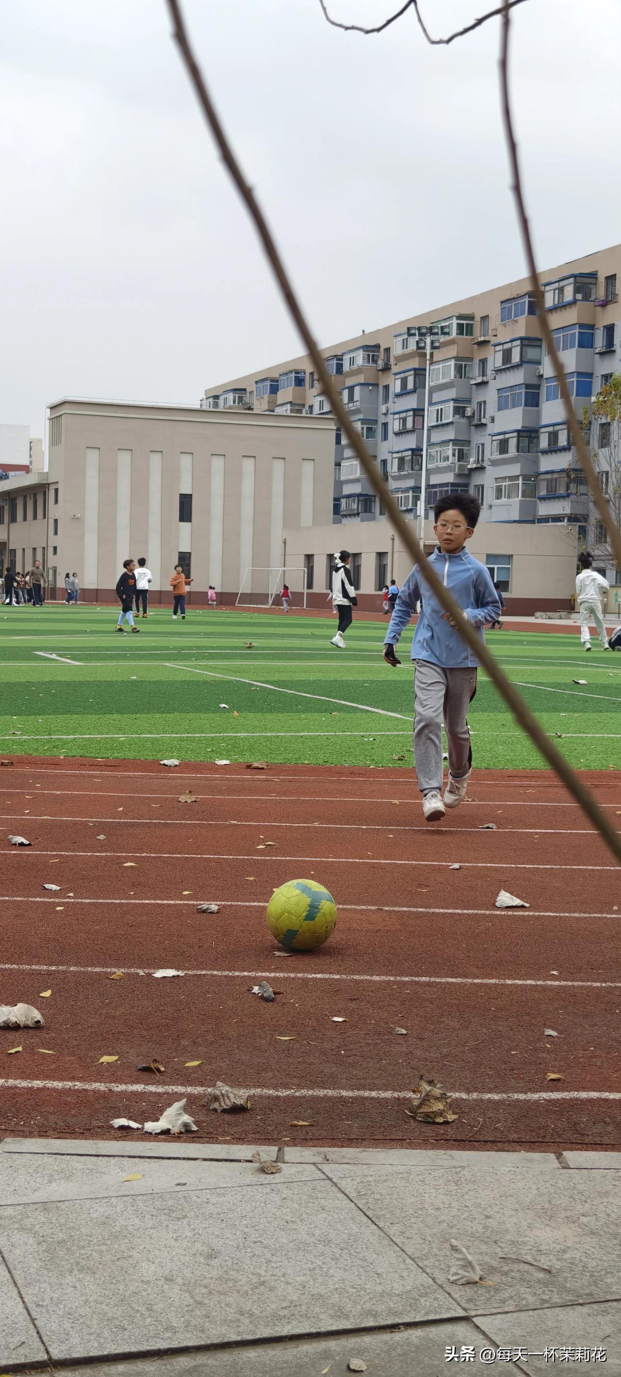 未来的足球小健将