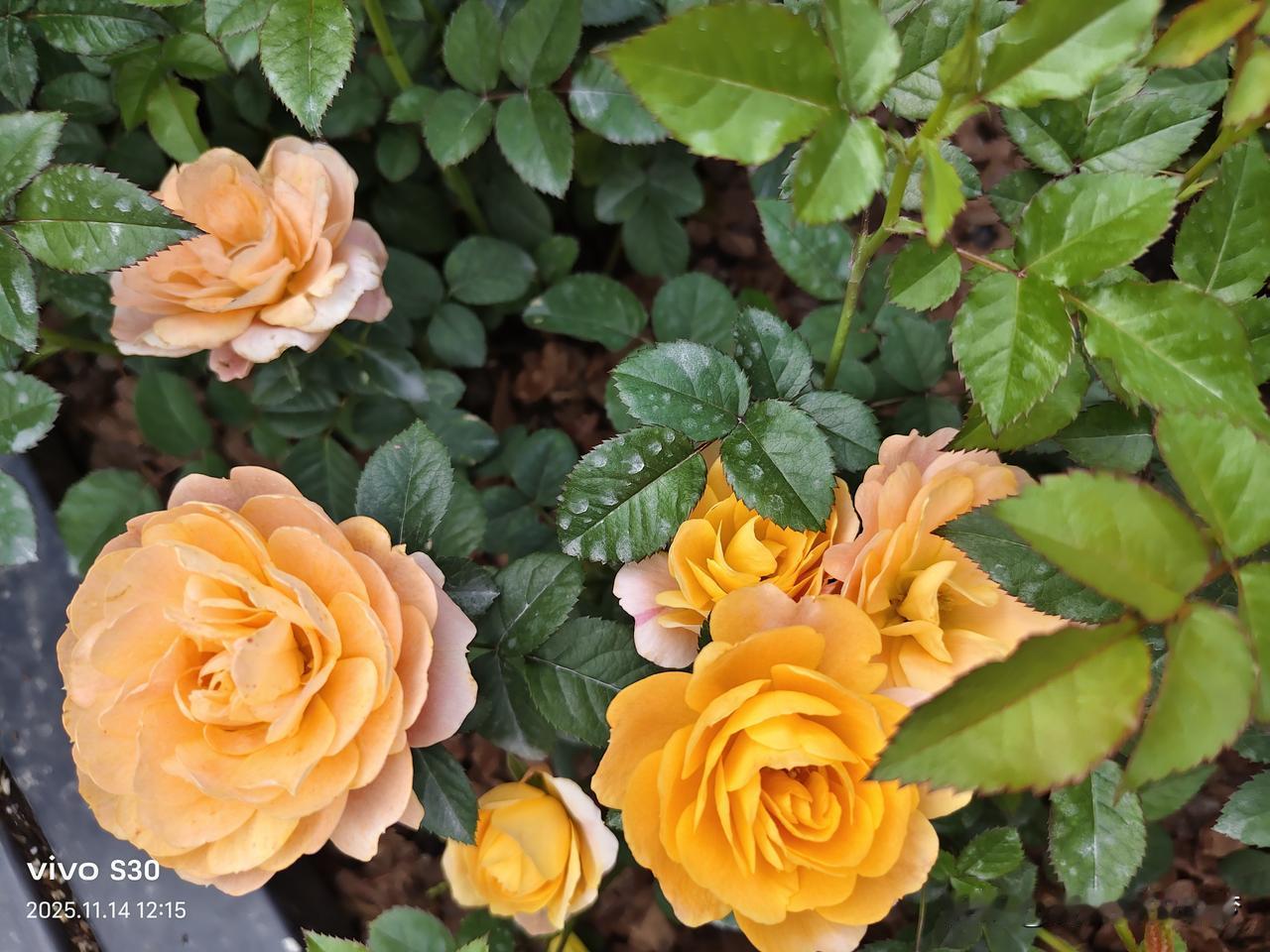 在异乡突然想家的瞬间