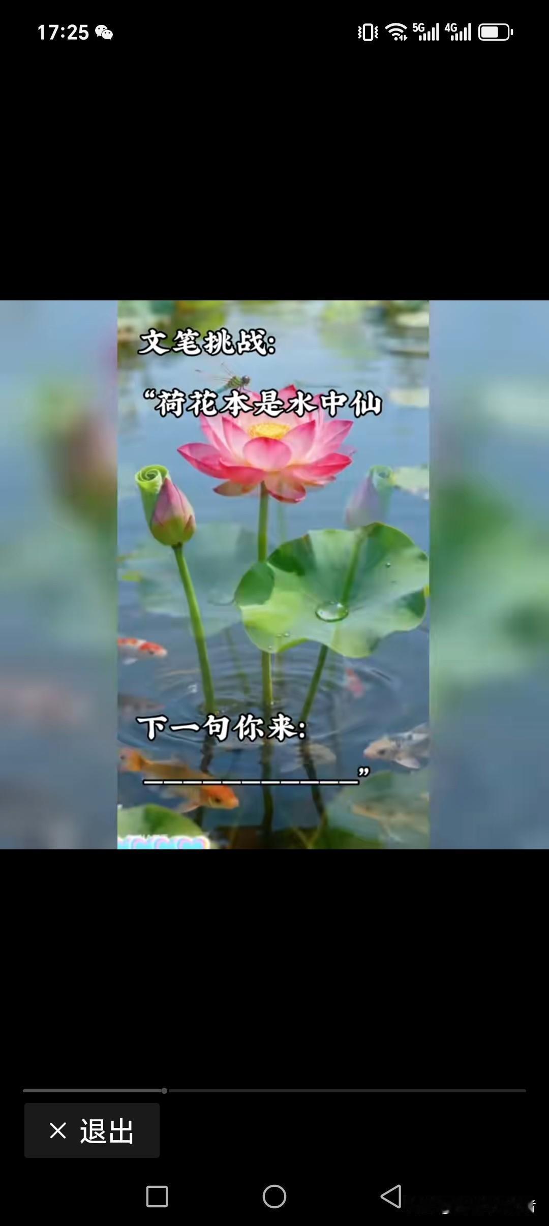 荷花本是水中仙
梅花亦是花中娇