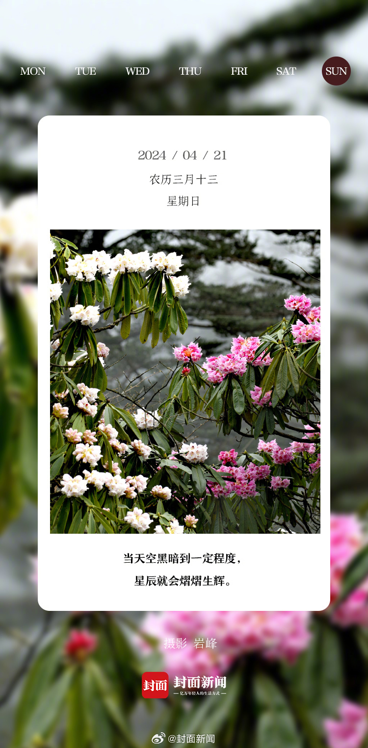 #小封日历# 今天周日~你准备去哪儿玩？​[送花花] ​​ ​​​