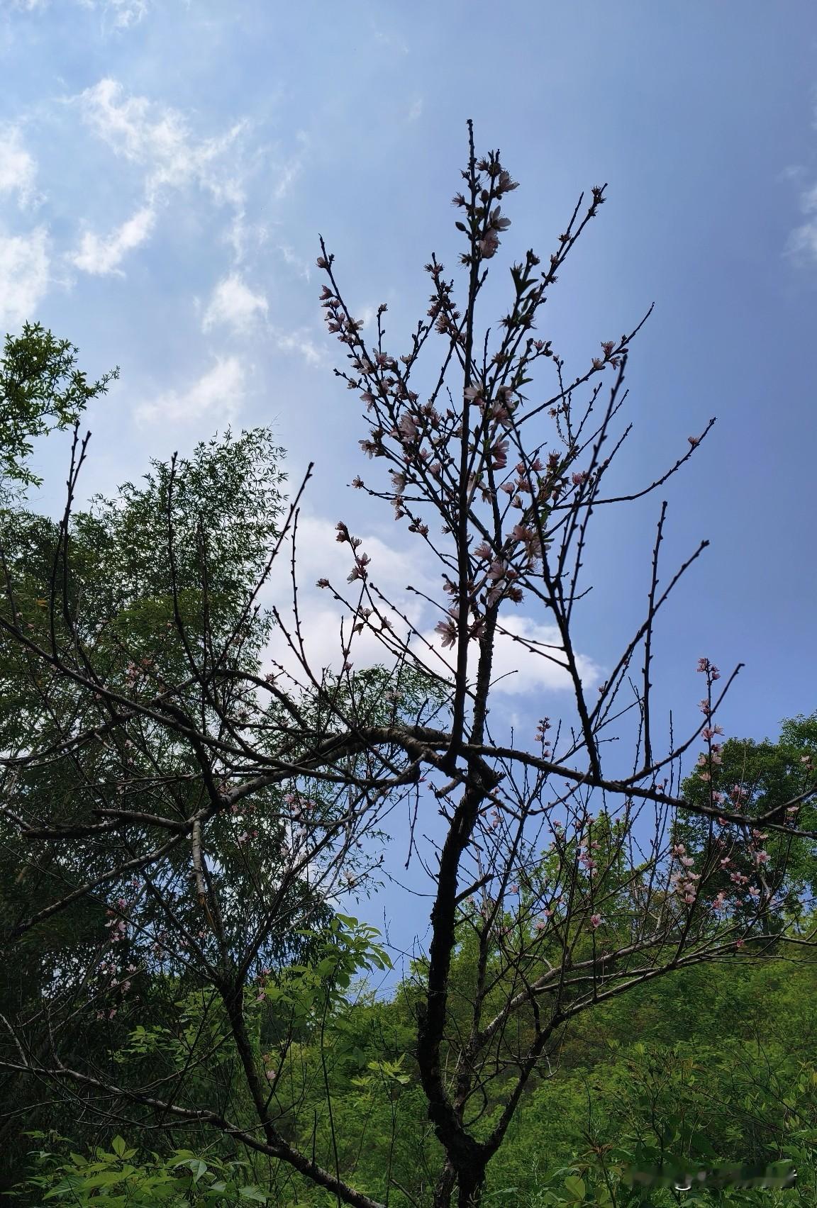 什么是处世的最高境界？

和底层人打交道，接纳他们占便宜、献媚讨好、算计，同时欣