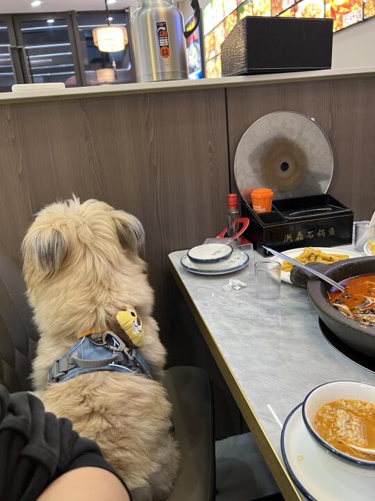 我什么意思你看不出来吗