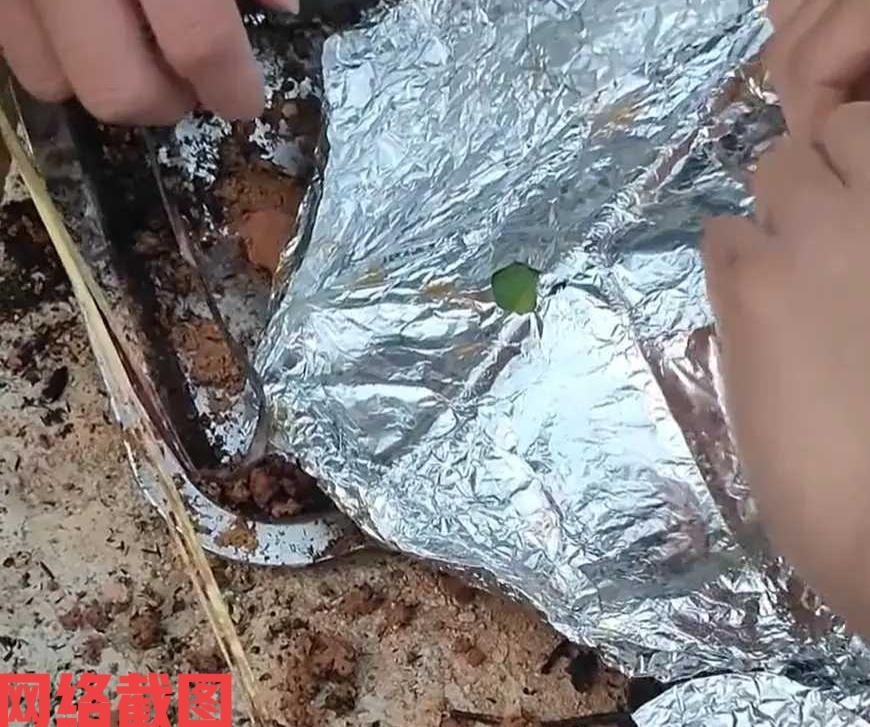 广东有男子和朋友想自制窑鸡食用。

可是男子的烤制方法不对路，花费一个多小时还是