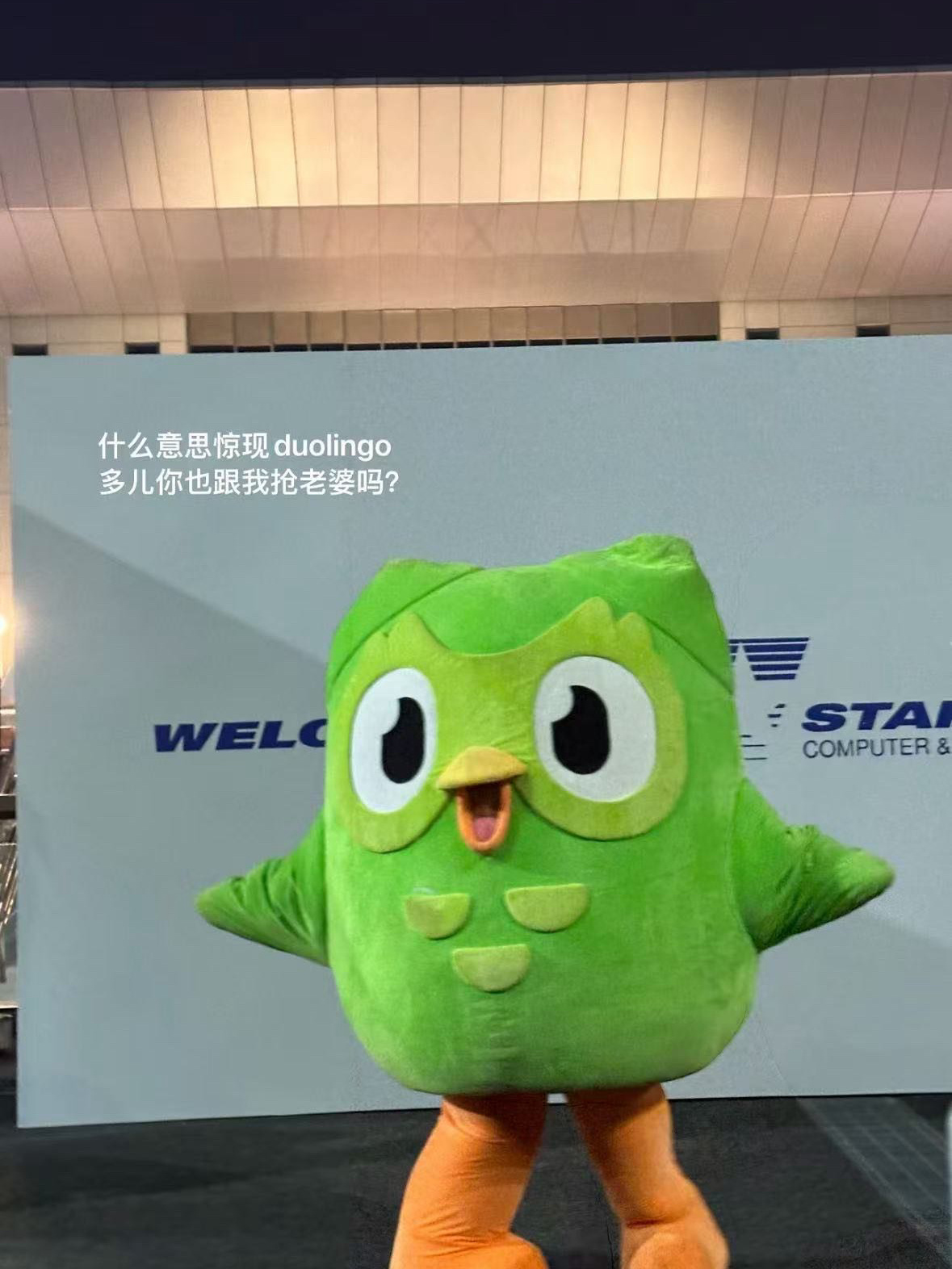 笑得好想死 多儿也去看了刘柏辛演唱会 