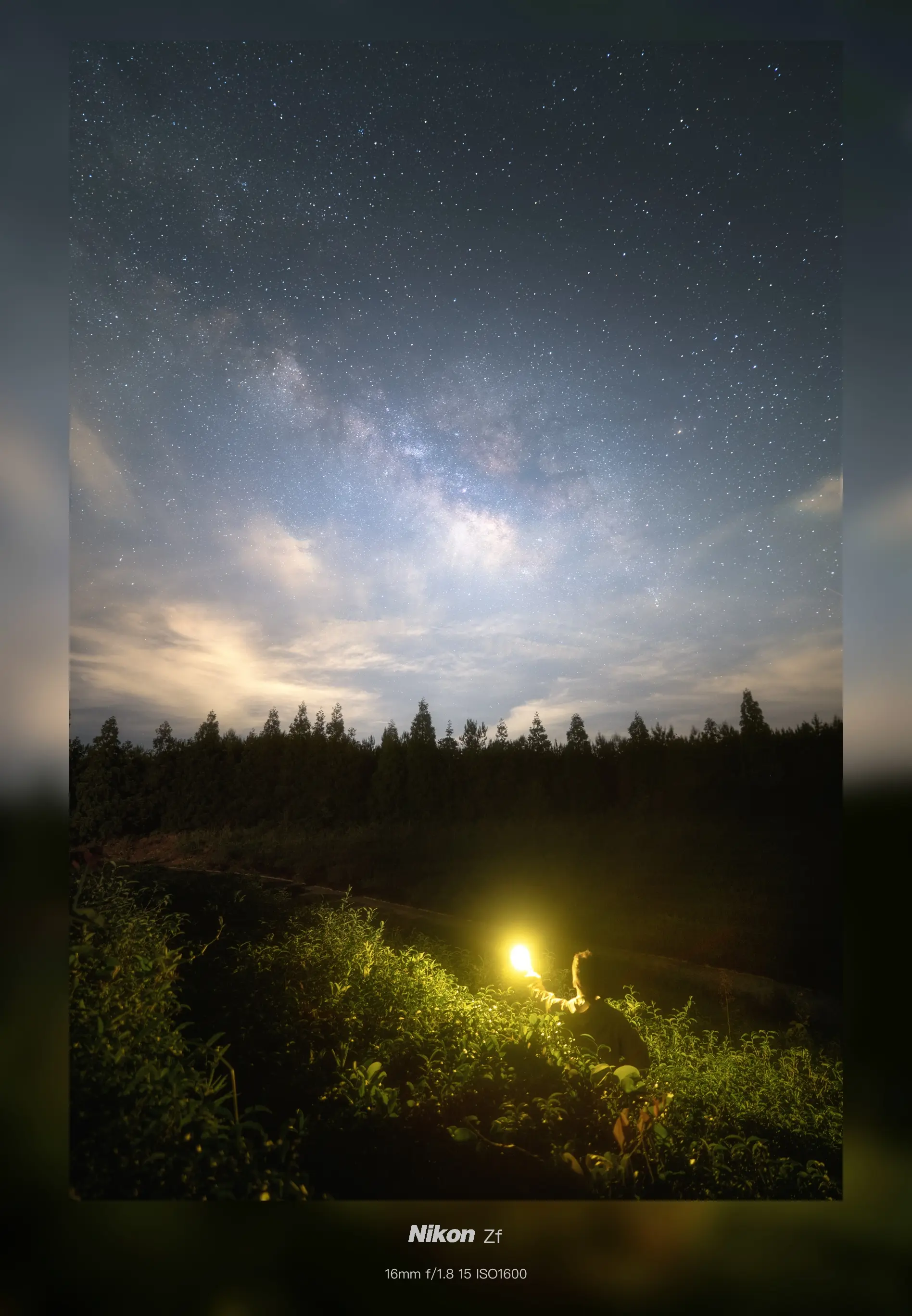茶园星梦。尼康Zf 唯卓仕161.8