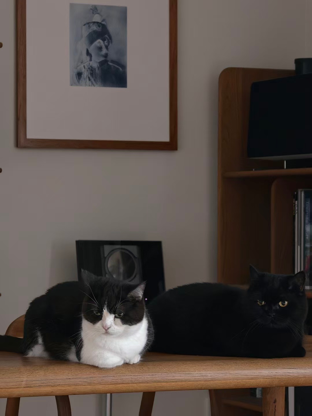 小熊猫问奶昔：你是否觉得自己是一个文明黄昏时的吟游诗人？ 