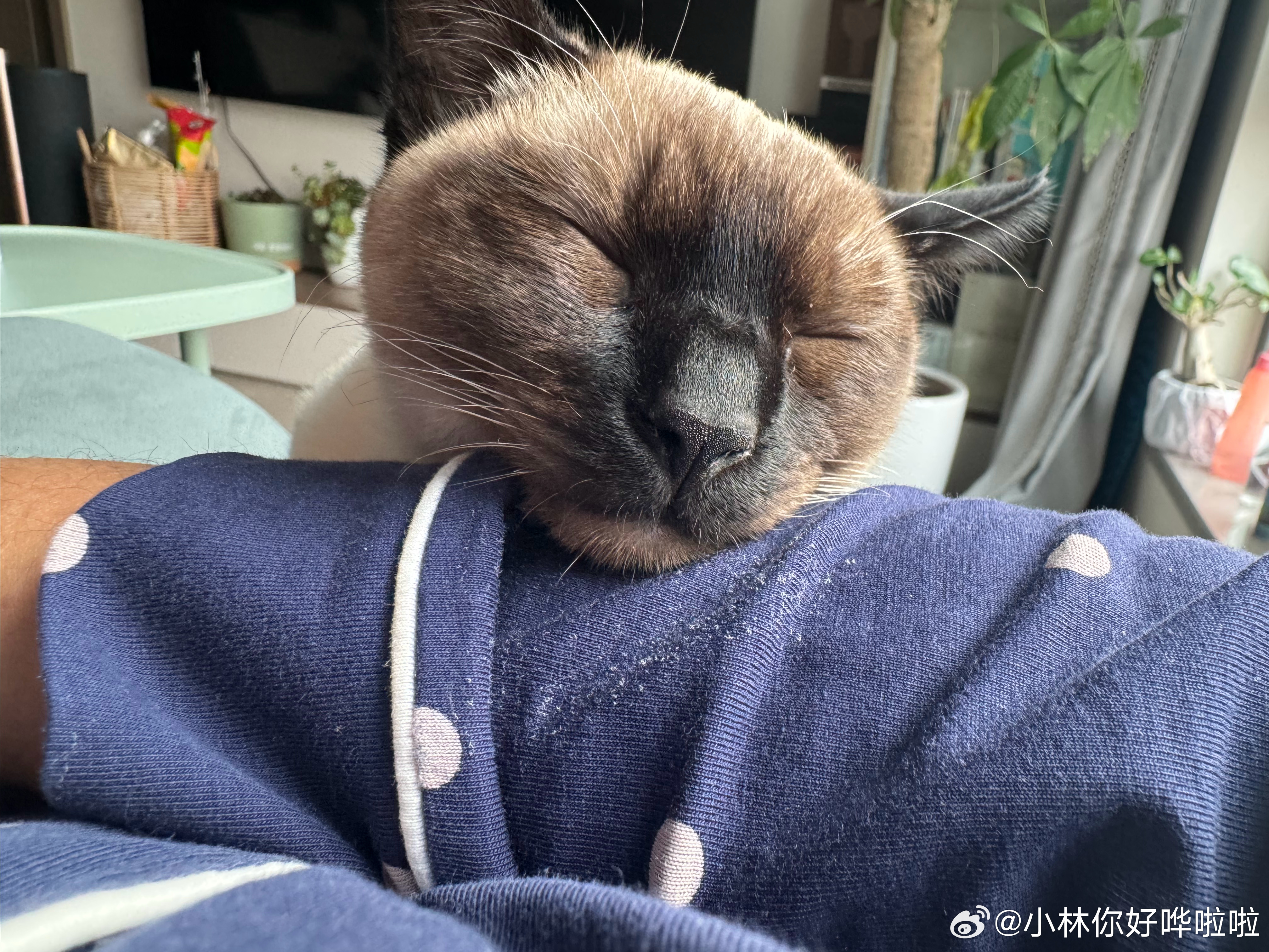 上汽通用内部确认，凯迪拉克即将用上泛亚研发的真龙插混（增程会不会随后跟上？）动力