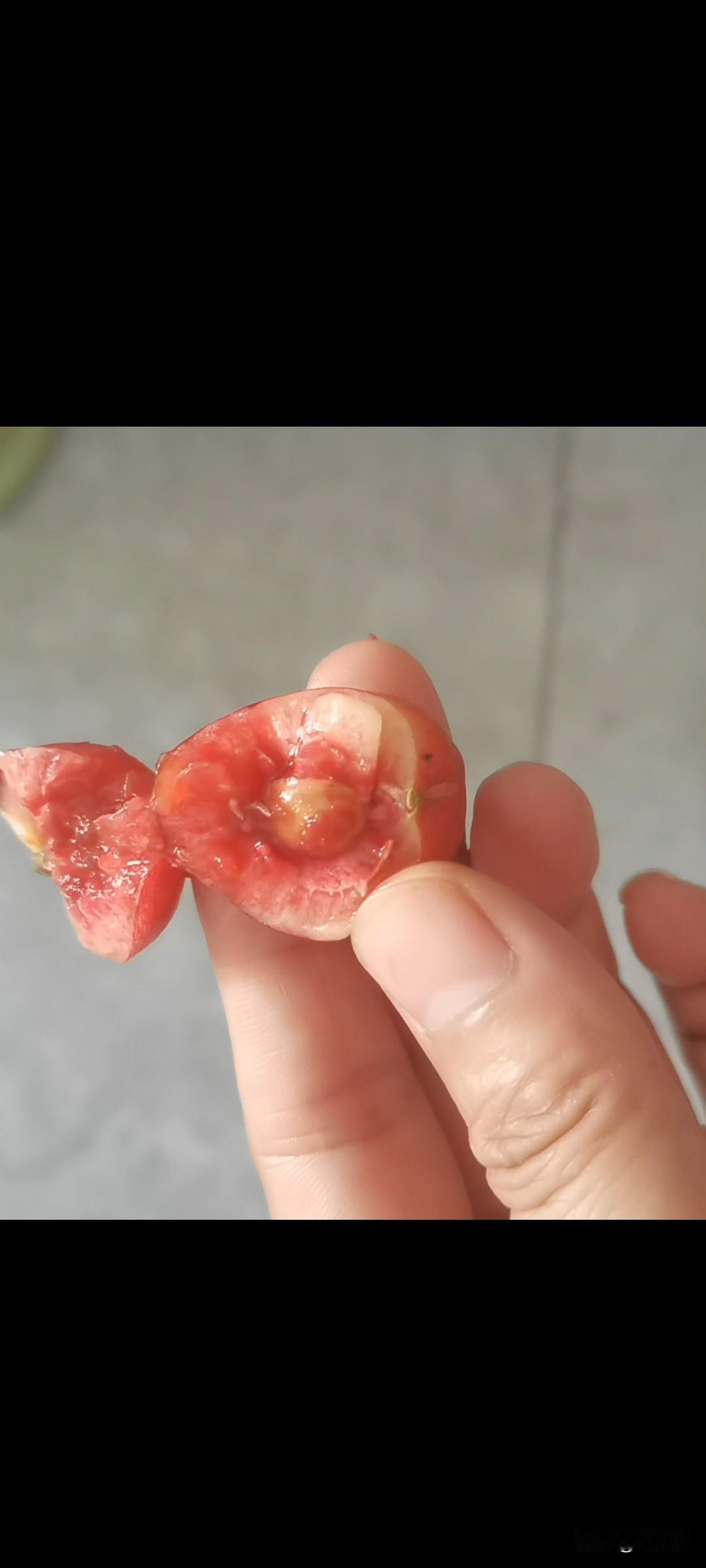 现在谁还敢买樱桃？掰开里面有白色虫子。

前几天，我从路边摊买了几斤大樱桃。吃的