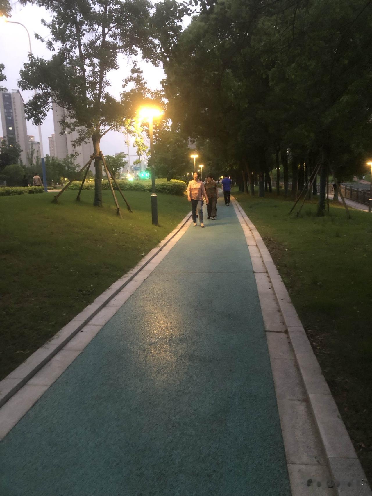 晒图笔记大赛夏日的傍晚沿绿道散步，晚风清爽，路边街坊结伴跳舞闲谈，灯火伴着烟火气