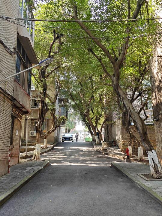 重庆这里当年居然通行上海话(citywalk334)