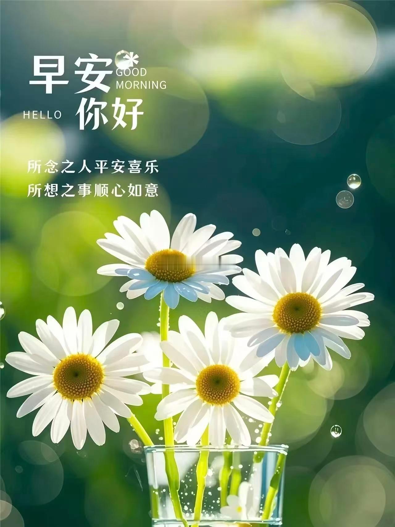 【周一，早安】生活百态，谁又能不苦，在心中种下希望，人生才不会黯淡，时光不会辜负