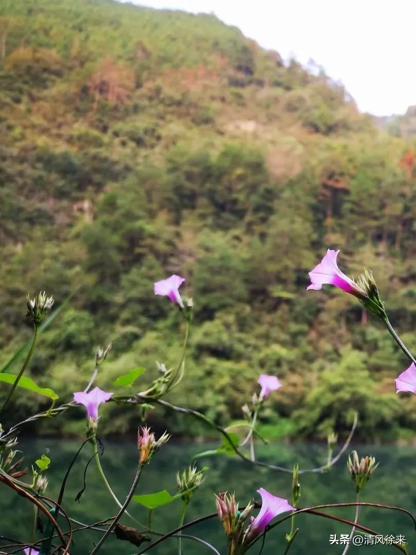 天冷后洗澡太勤？55岁“老少女”的护肤觉醒
 
我今年55岁，朋友们总笑称我是“