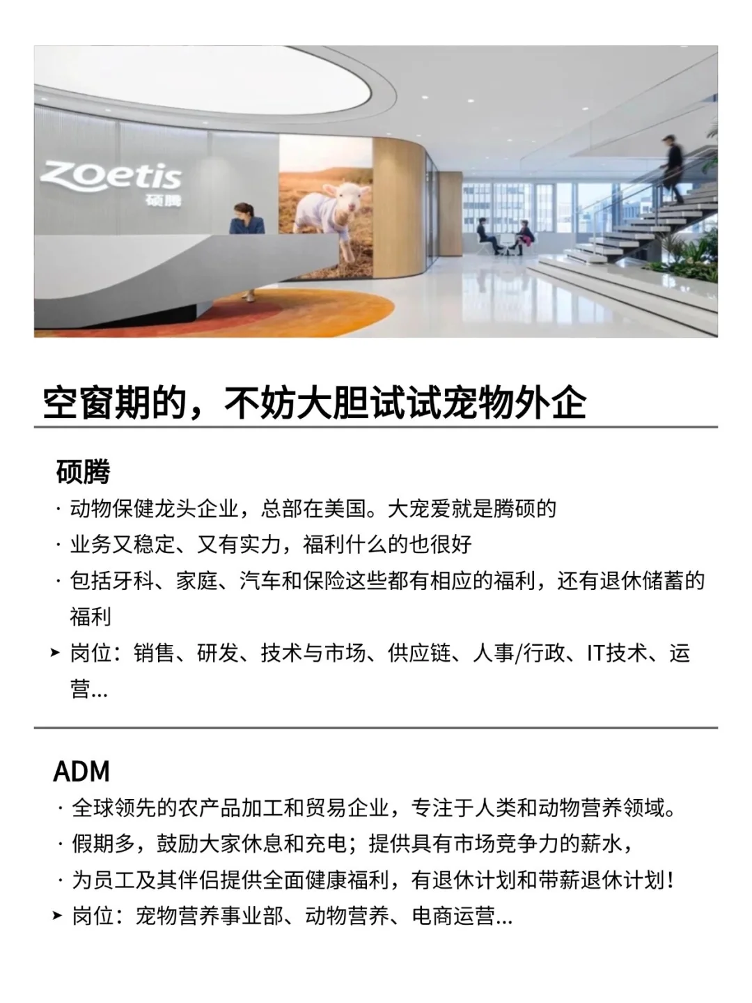 空窗期的，不妨大胆试试宠物外企