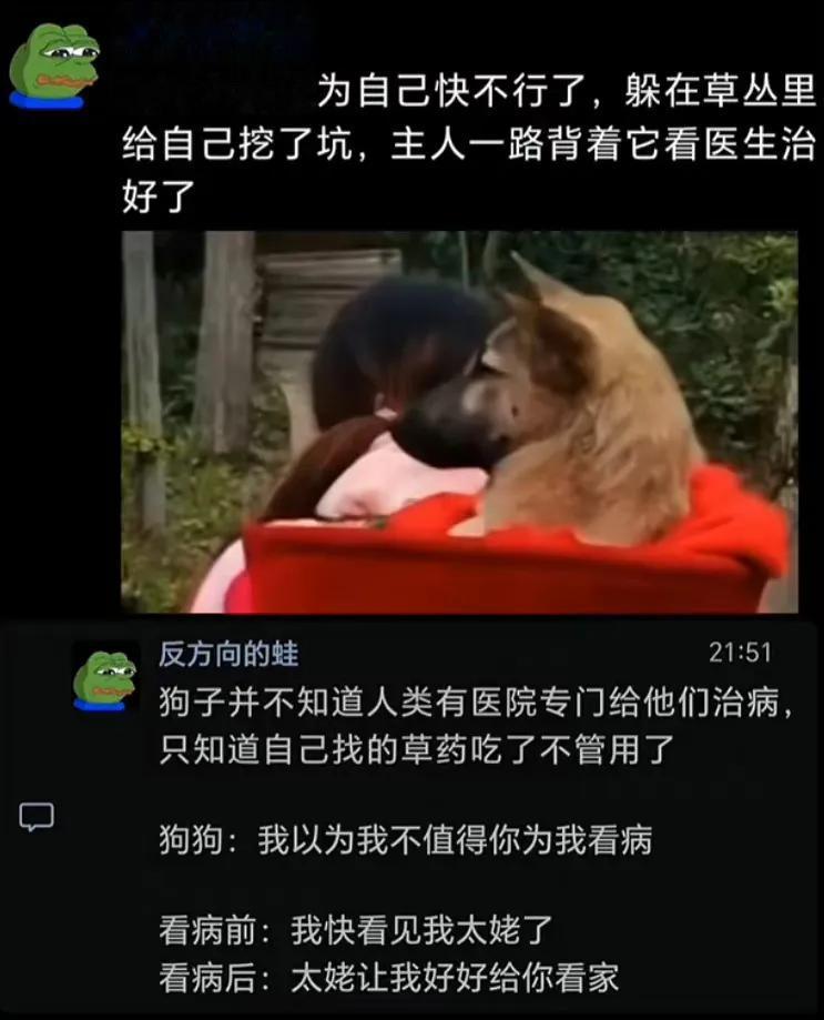 狗子以为自己快不行了[泪奔][泪奔]