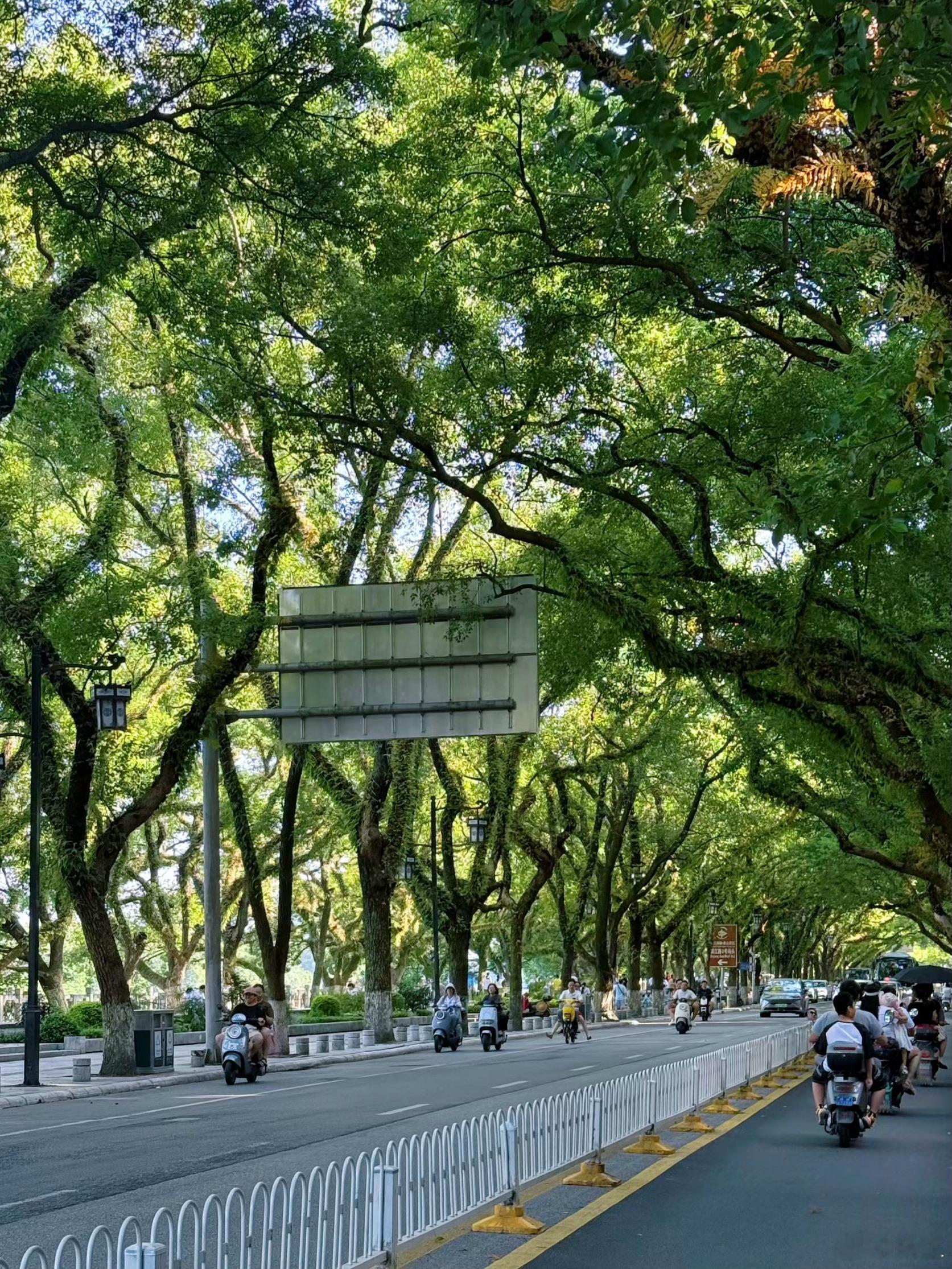 我发现异地关系里最折磨人的，从来不是距离，而是你越来越不知道，到底是自己想多了，