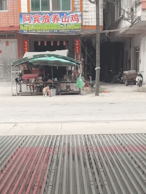 它偷走一大块猪肉，主家竟然没有看到，它叼着就跑了。
这一快，估计几天都它吃不完，