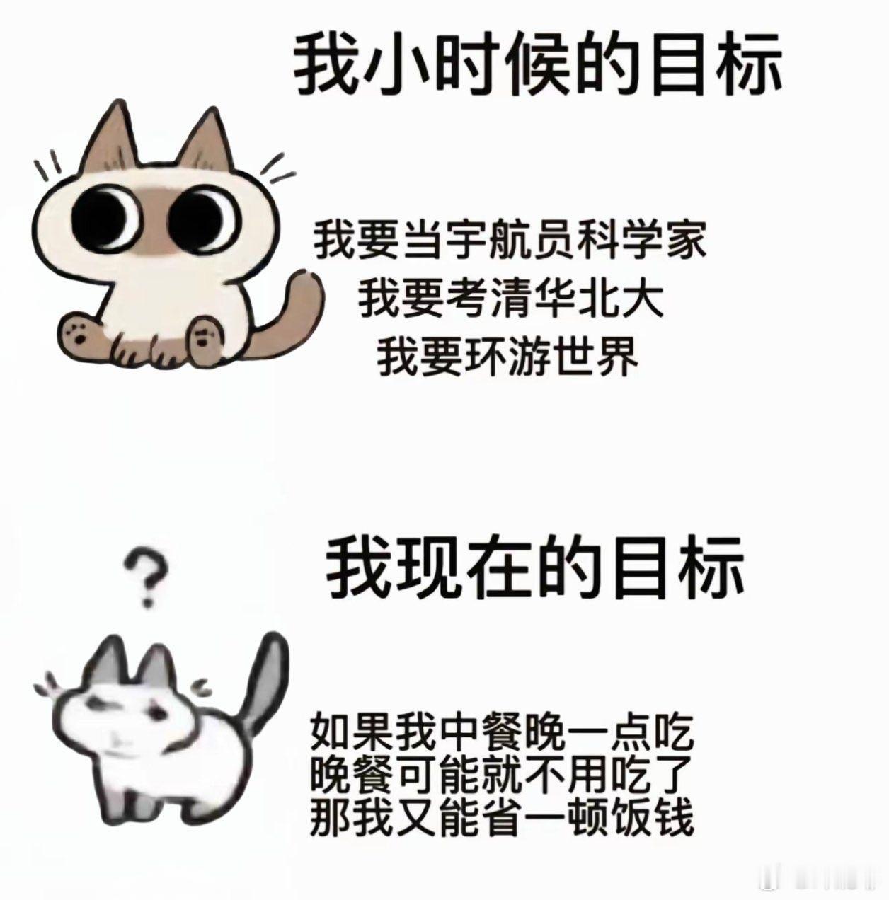 小时候的目标vs现在的目标 ​​​