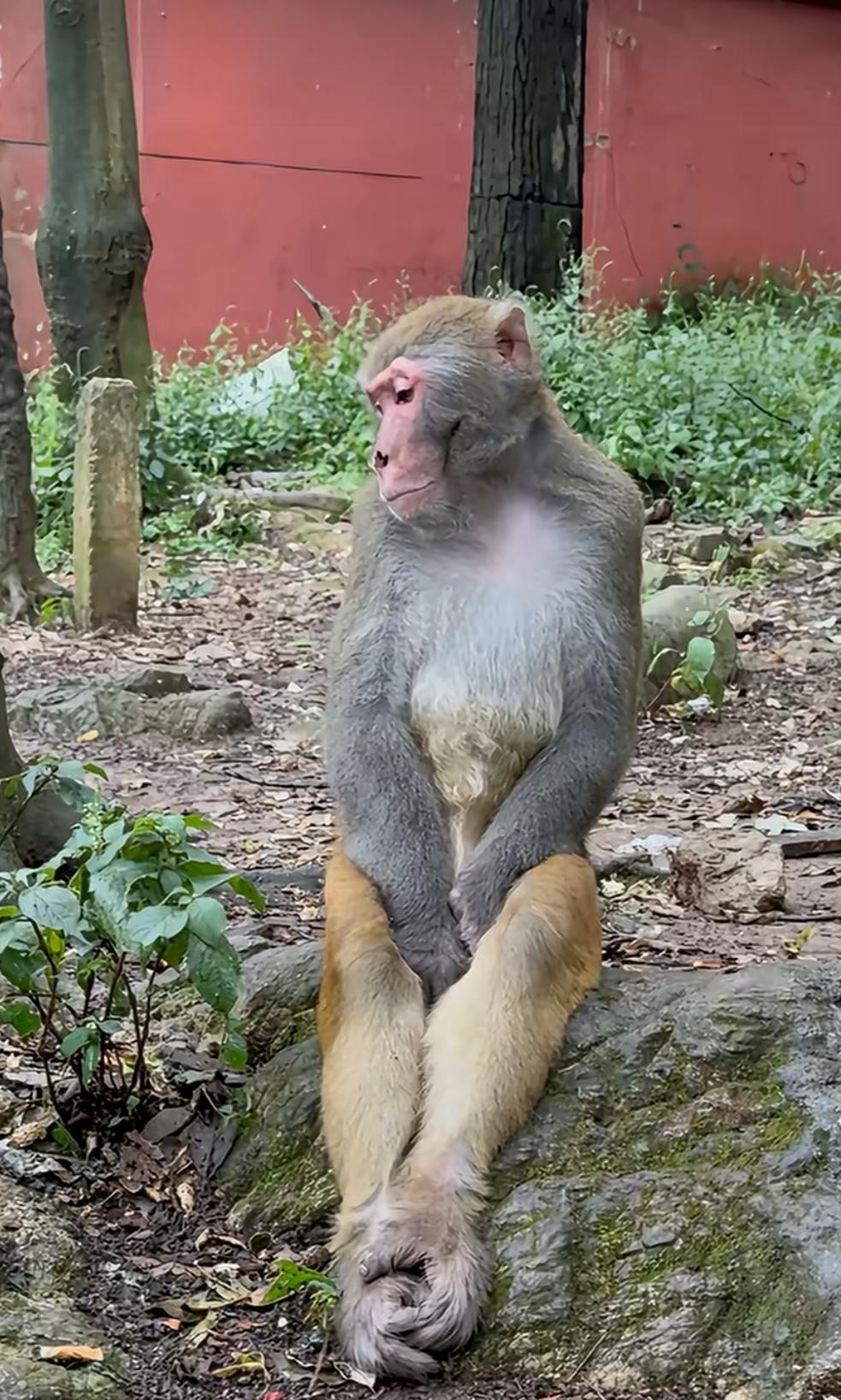 如果苹果手机能像安卓或者国产手机一样通话录音自由隐秘，其他的我不计较，我就不用双