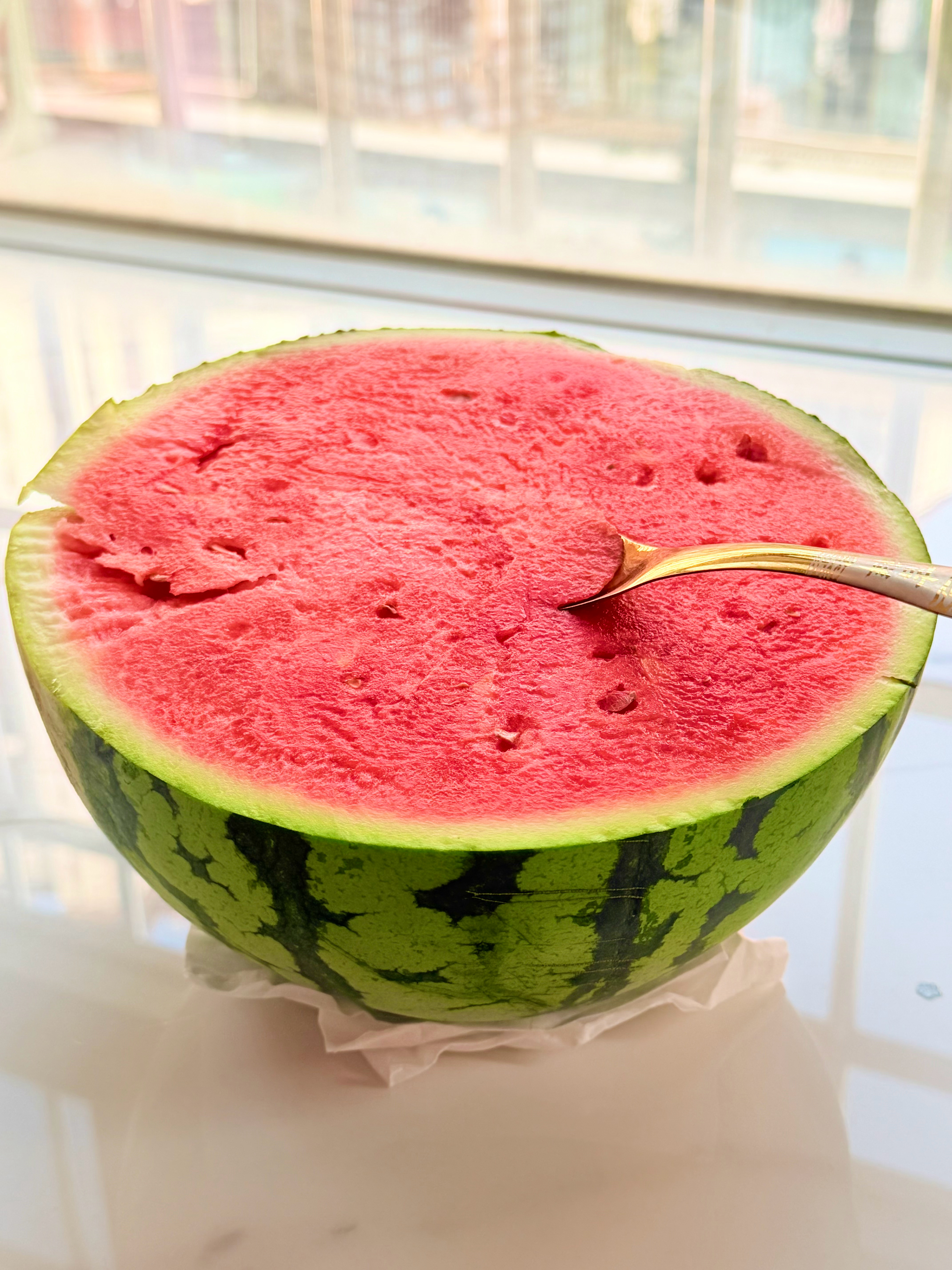 🍉 