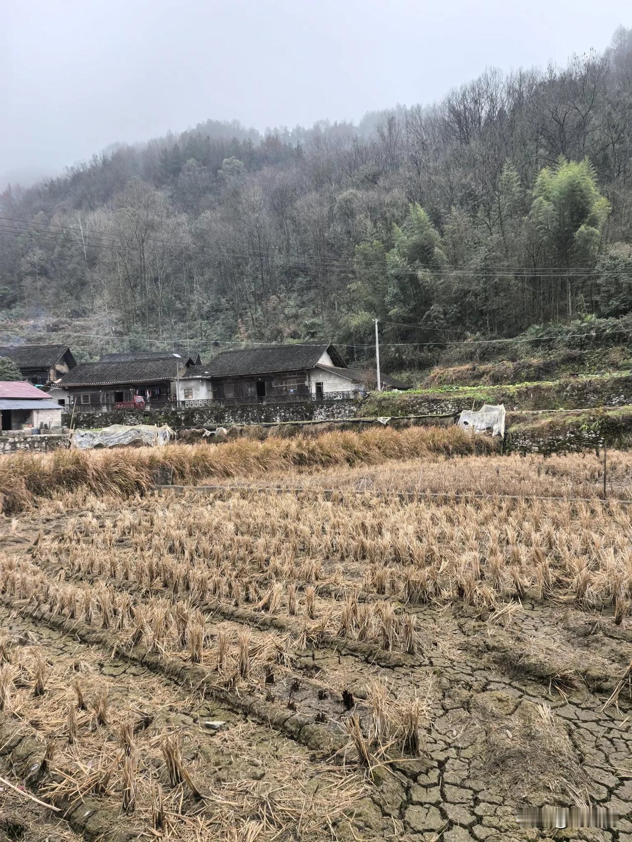 七古.重读《三言诗.赞罗荣桓同志》有感
（2025年1月31日）
无利私心胸坦荡