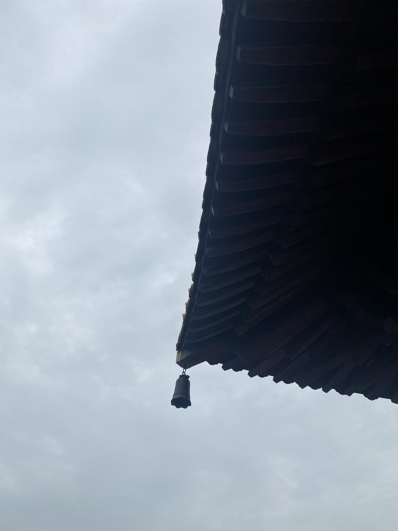 不要动不动就发脾气，只有蠢人才乱发脾气，有智慧的人都是没有情绪的。

智者只做一