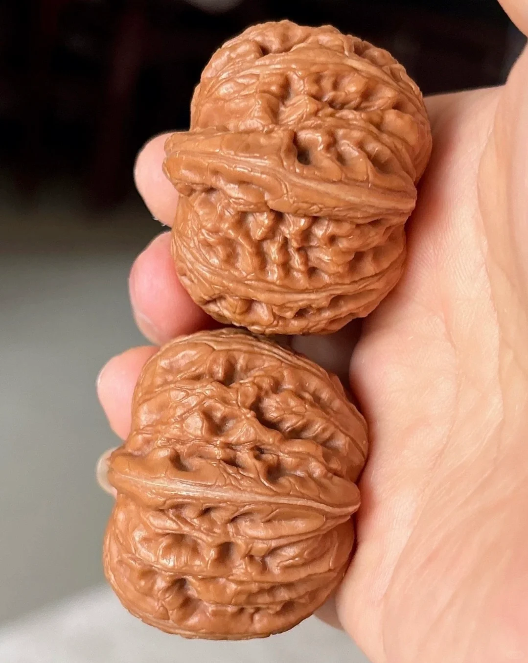 让我看看你们的元宝😏