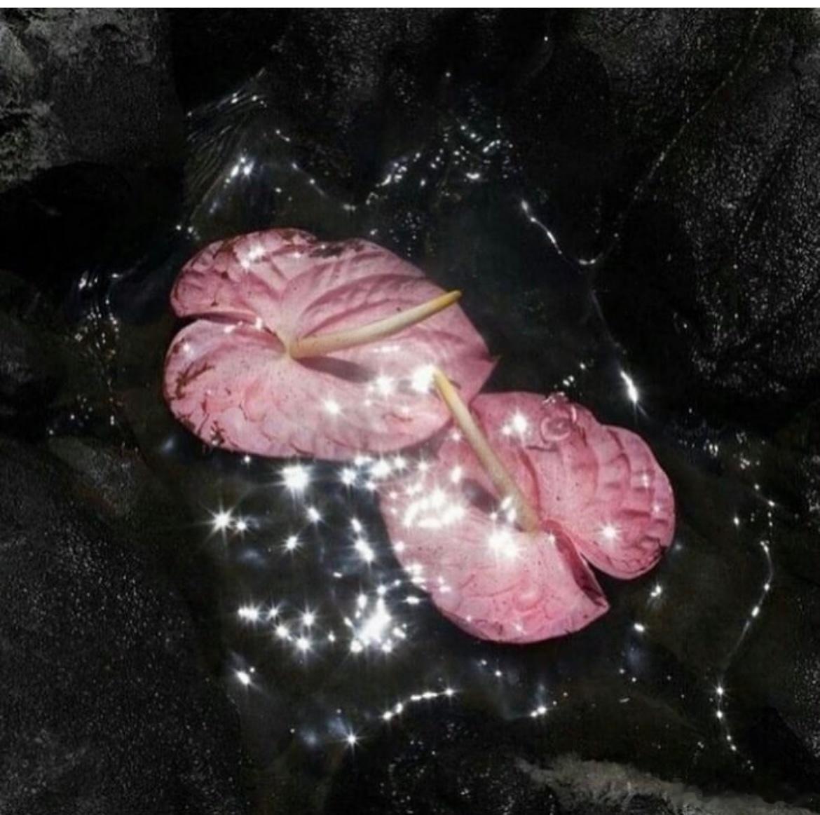 见者评论转发有好运！一切美好都会降临！运势极旺！惊喜无限！好运多多！想要的都会得