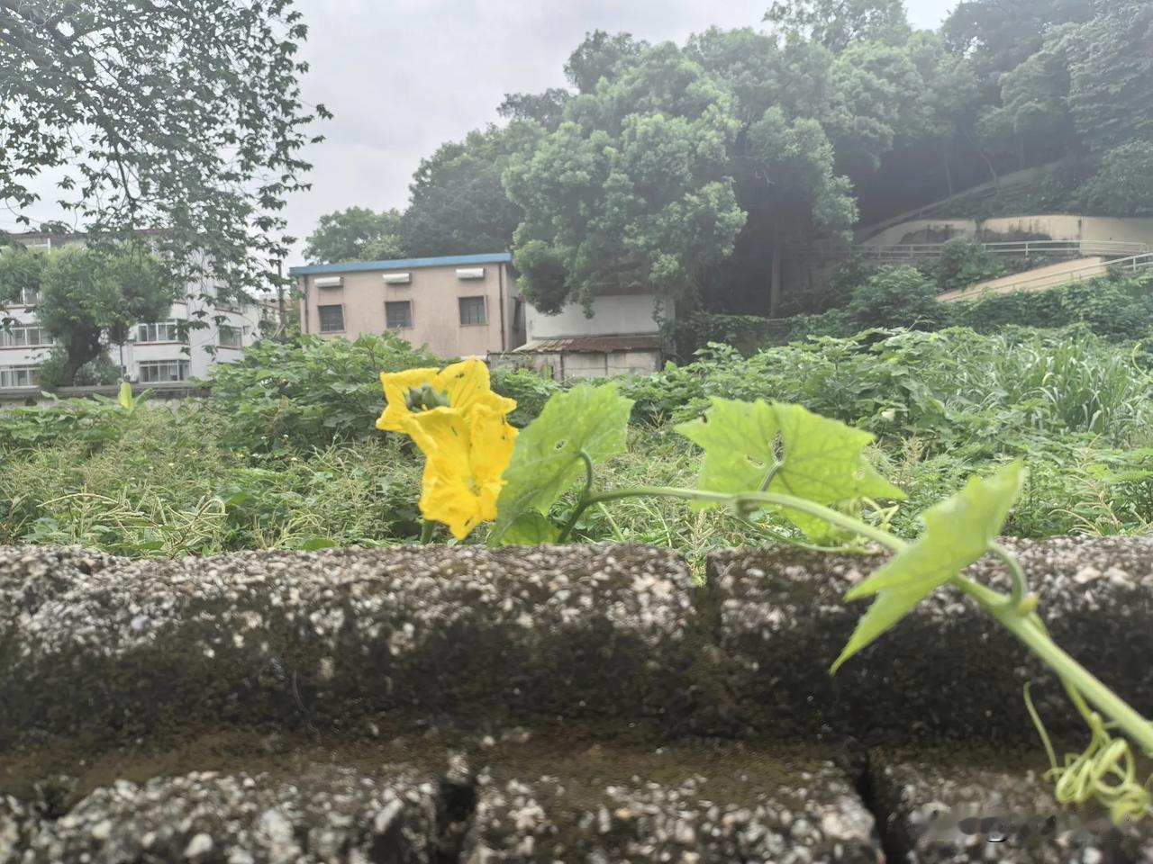 一切准备就绪，正想启程回乡下的时候，老公的电话杀到！我还以为是叫我拿什么东西，谁