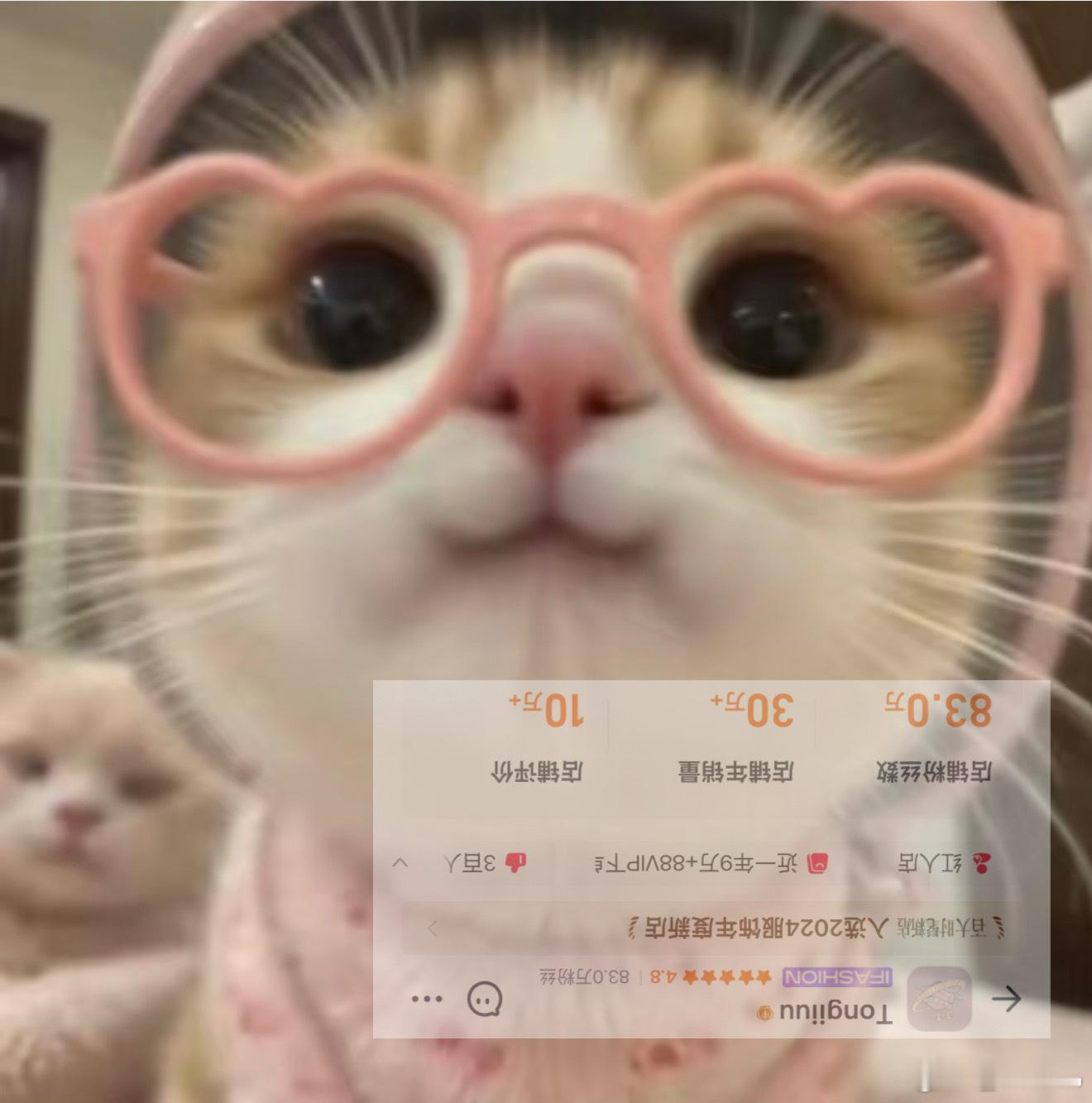 开工开工！新年快乐我滴姐妹们～🪐整理了100件样衣 抽20个mm！（十个系统抽