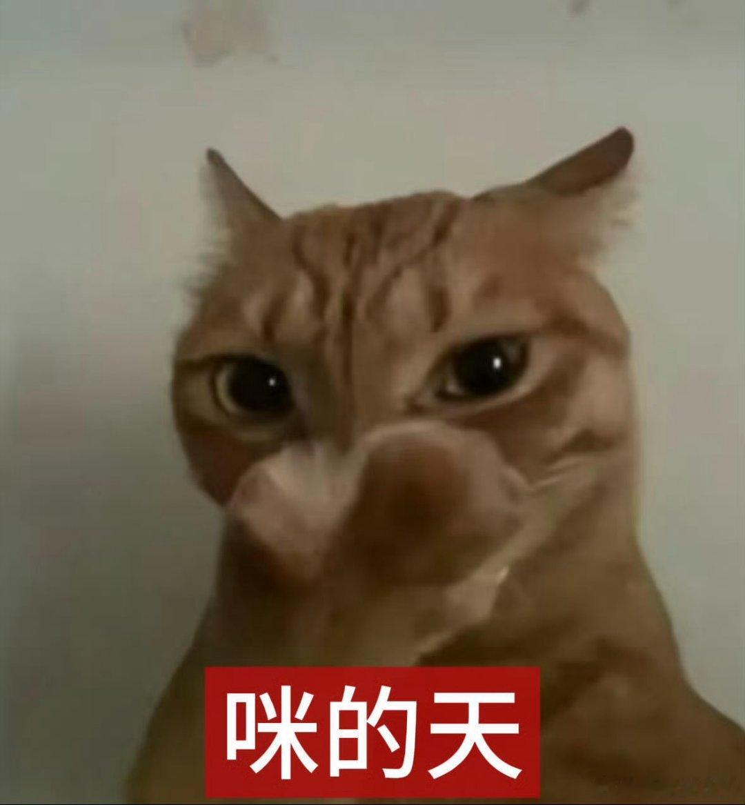 路边惊魂我车停路边等人随便给高原哥哥表个白，正聚精会神的刷着闪光语录，突然有个大