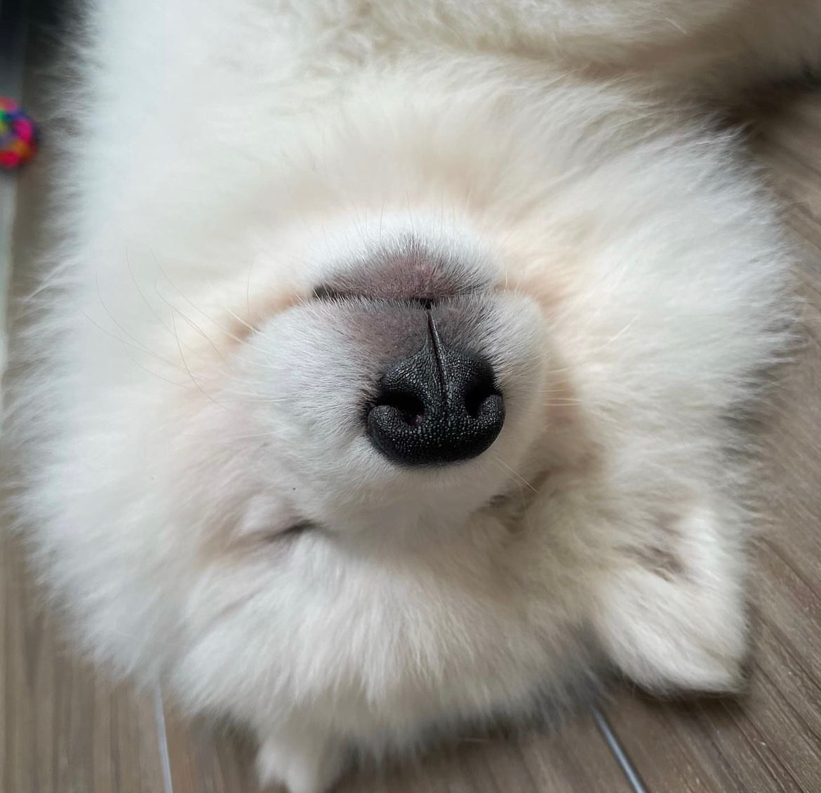 晚安耶 ​​​