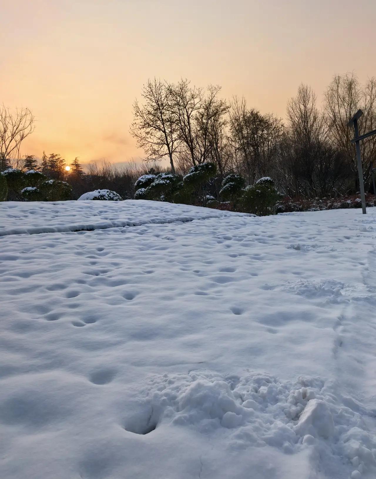 完整榜单
博主拍出神奇雪景：一边飞雪一边无雪

你是否曾经在冬天幻想过一场纯白的
